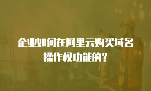 企业如何在阿里云购买域名操作权功能的？