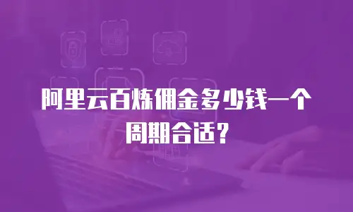 阿里云百炼佣金多少钱一个周期合适？