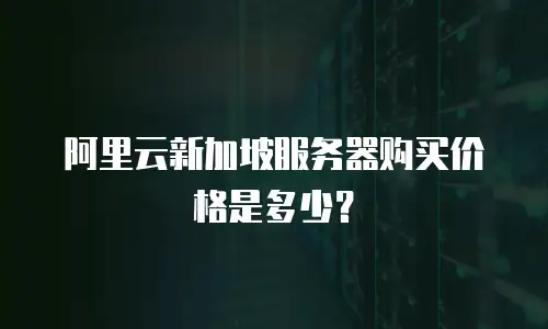 阿里云新加坡服务器购买价格是多少？