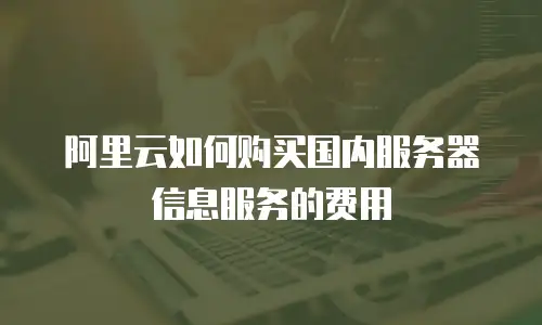 阿里云如何购买国内服务器信息服务的费用