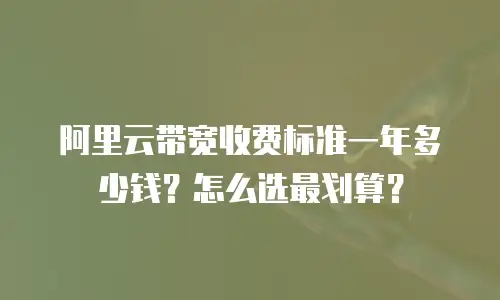 阿里云带宽收费标准一年多少钱？怎么选最划算？