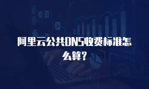 阿里云公共DNS收费标准怎么算？