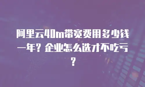 阿里云40m带宽费用多少钱一年？企业怎么选才不吃亏？