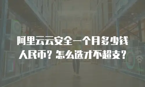 阿里云云安全一个月多少钱人民币？怎么选才不超支？