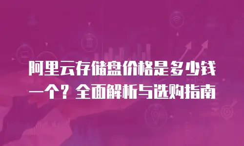 阿里云存储盘价格是多少钱一个？全面解析与选购指南