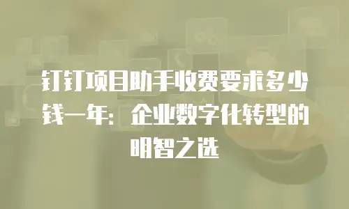 钉钉项目助手收费要求多少钱一年：企业数字化转型的明智之选