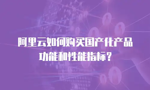 阿里云如何购买国产化产品功能和性能指标？