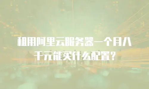 租用阿里云服务器一个月八千元能买什么配置？