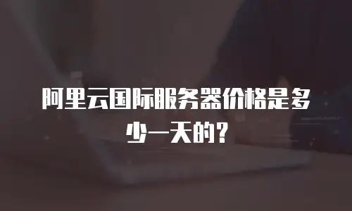 阿里云国际服务器价格是多少一天的？