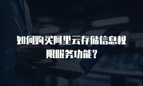 如何购买阿里云存储信息权限服务功能？