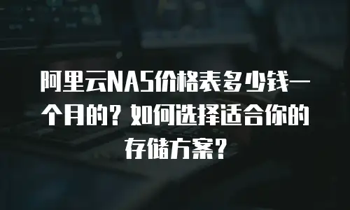 阿里云NAS价格表多少钱一个月的？如何选择适合你的存储方案？