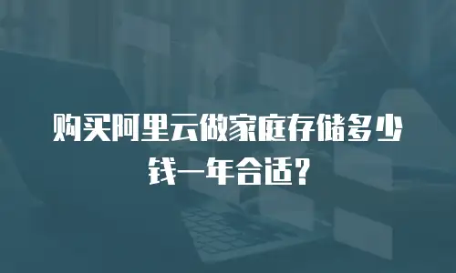 购买阿里云做家庭存储多少钱一年合适？