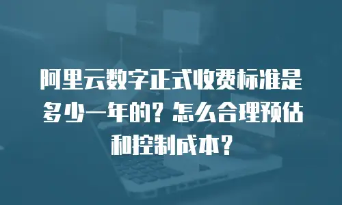 阿里云数字正式收费标准是多少一年的？怎么合理预估和控制成本？