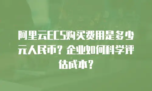 阿里云ECS购买费用是多少元人民币？企业如何科学评估成本？