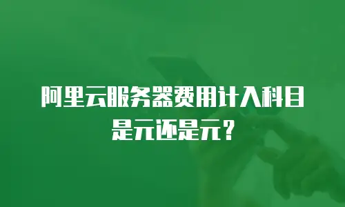 阿里云服务器费用计入科目是元还是元？