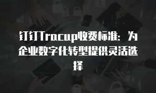 钉钉Tracup收费标准：为企业数字化转型提供灵活选择