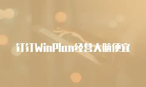 钉钉WinPlan经营大脑便宜