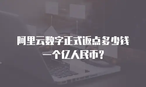 阿里云数字正式返点多少钱一个亿人民币？