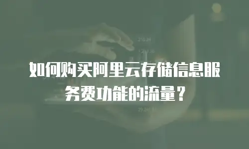 如何购买阿里云存储信息服务费功能的流量？