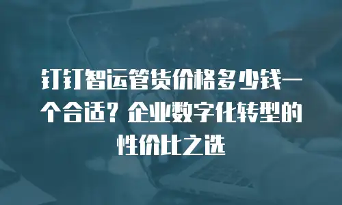 钉钉智运管货价格多少钱一个合适？企业数字化转型的性价比之选
