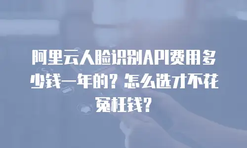 阿里云人脸识别API费用多少钱一年的？怎么选才不花冤枉钱？