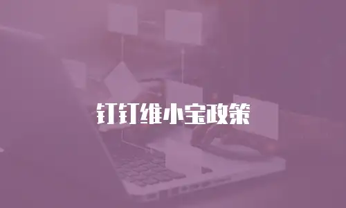 钉钉维小宝政策