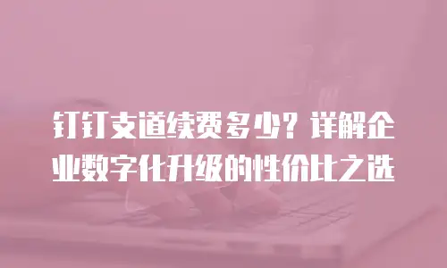 钉钉支道续费多少？详解企业数字化升级的性价比之选