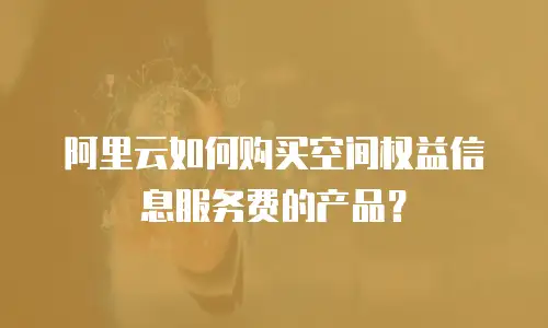阿里云如何购买空间权益信息服务费的产品？