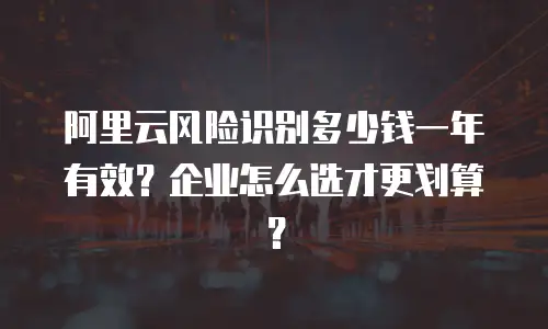 阿里云风险识别多少钱一年有效？企业怎么选才更划算？