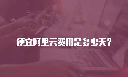 便宜阿里云费用是多少天？