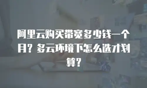 阿里云购买带宽多少钱一个月？多云环境下怎么选才划算？