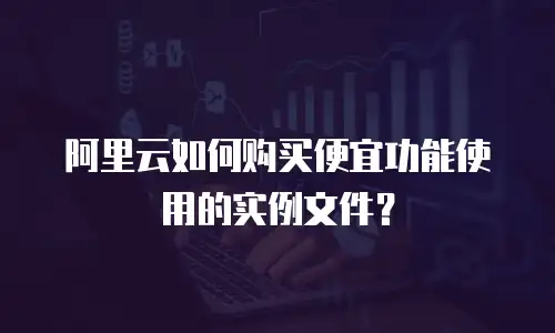 阿里云如何购买便宜功能使用的实例文件？