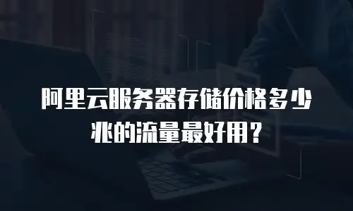 阿里云服务器存储价格多少兆的流量最好用？