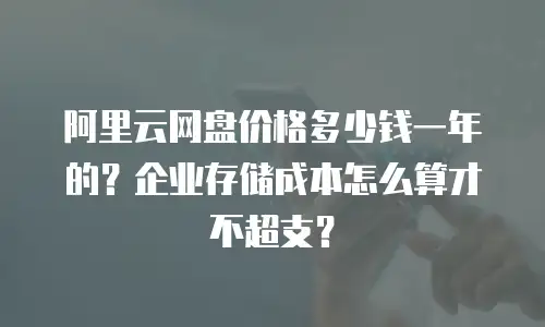 阿里云网盘价格多少钱一年的？企业存储成本怎么算才不超支？