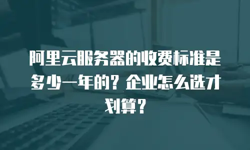 阿里云服务器的收费标准是多少一年的？企业怎么选才划算？