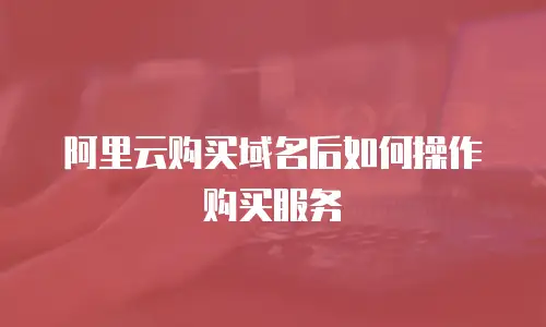 阿里云购买域名后如何操作购买服务