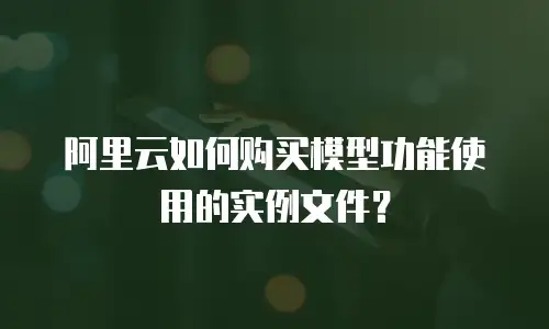 阿里云如何购买模型功能使用的实例文件？