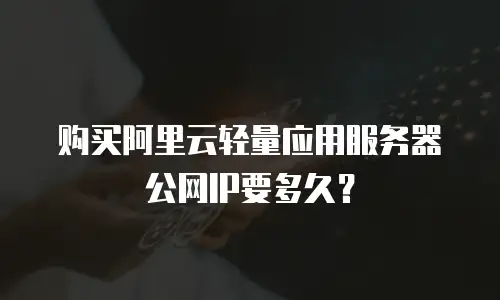 购买阿里云轻量应用服务器公网IP要多久？