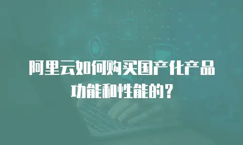 阿里云如何购买国产化产品功能和性能的？