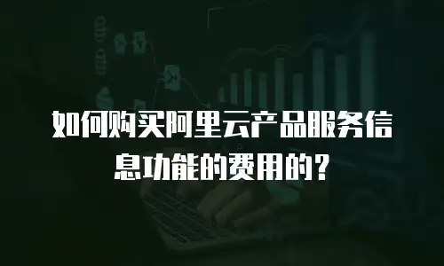 如何购买阿里云产品服务信息功能的费用的？