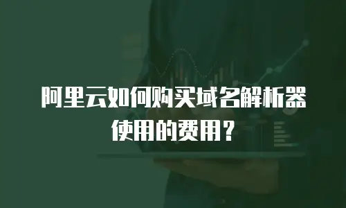 阿里云如何购买域名解析器使用的费用？