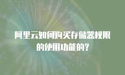 阿里云如何购买存储器权限的使用功能的？