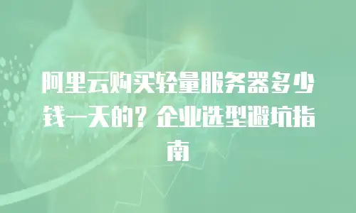 阿里云购买轻量服务器多少钱一天的？企业选型避坑指南