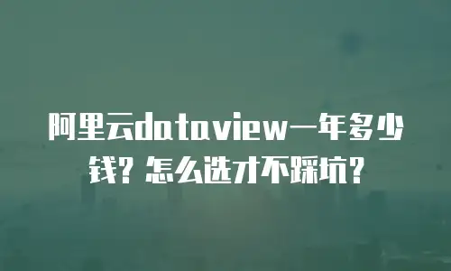 阿里云dataview一年多少钱？怎么选才不踩坑？