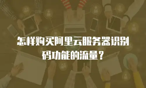 怎样购买阿里云服务器识别码功能的流量？