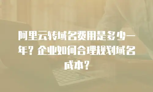阿里云转域名费用是多少一年？企业如何合理规划域名成本？
