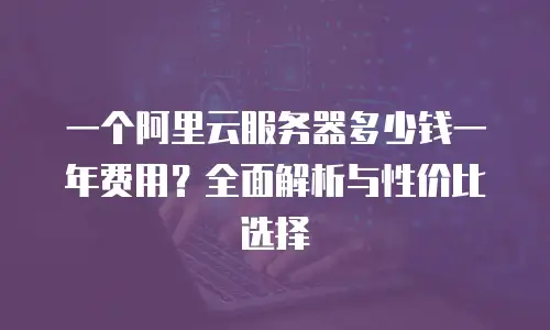 一个阿里云服务器多少钱一年费用？全面解析与性价比选择