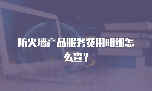 防火墙产品服务费用明细怎么查？
