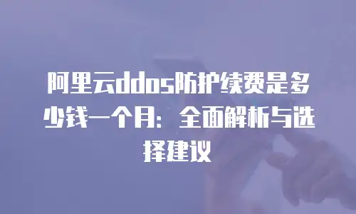 阿里云ddos防护续费是多少钱一个月：全面解析与选择建议