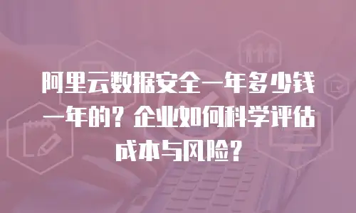 阿里云数据安全一年多少钱一年的？企业如何科学评估成本与风险？